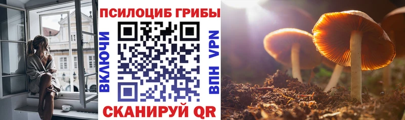 Галлюциногенные грибы Psilocybine cubensis  OMG ONION  Волгореченск 