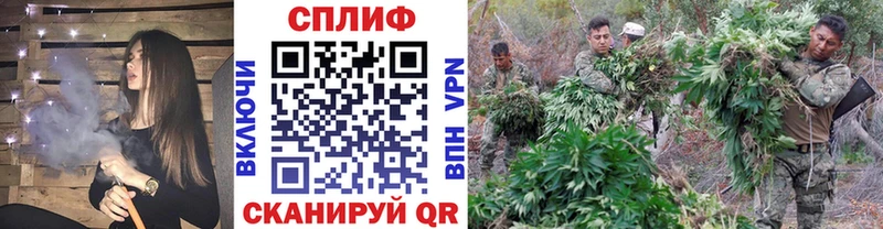 Шишки марихуана план Волгореченск